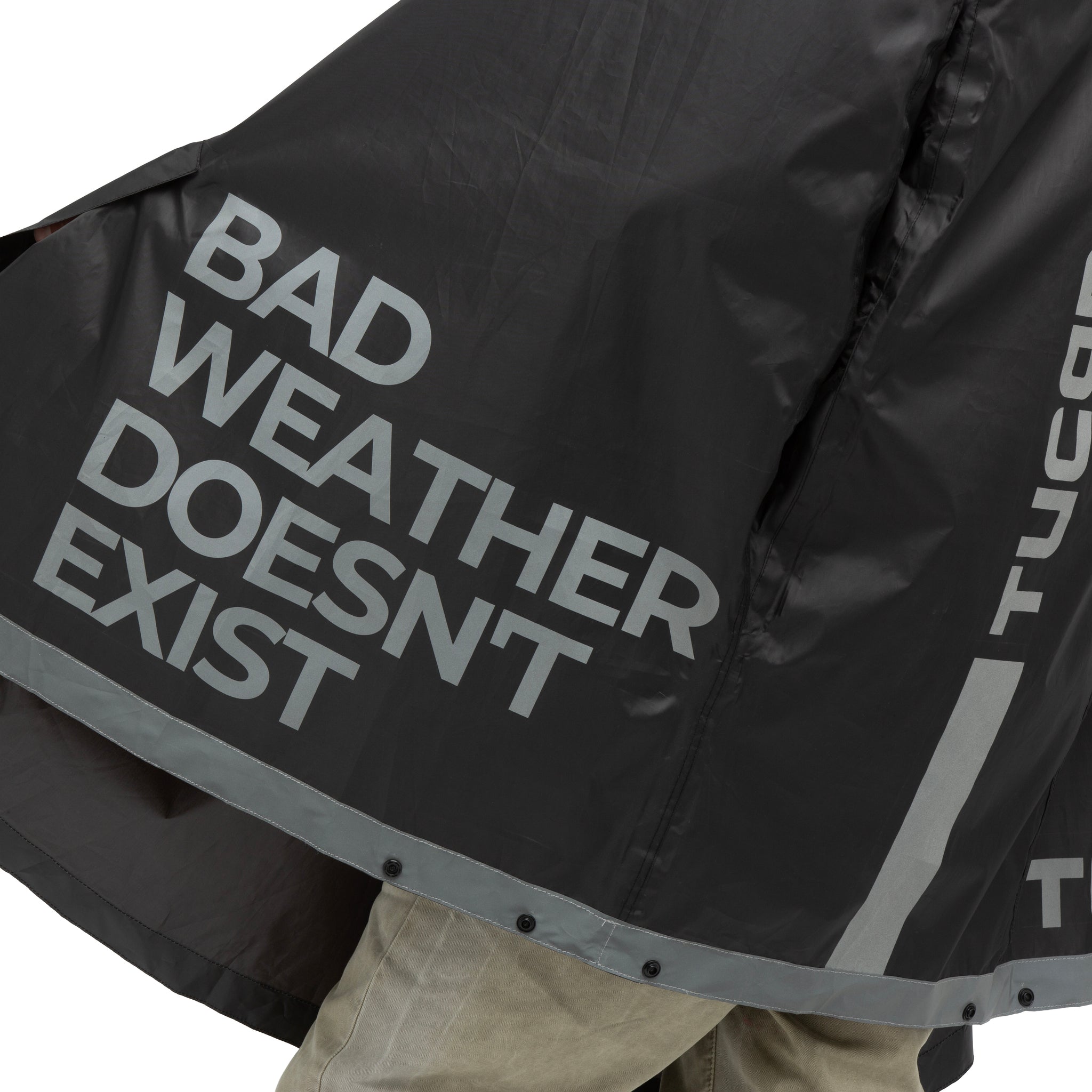 Mantella GARIBALDINA ZETA