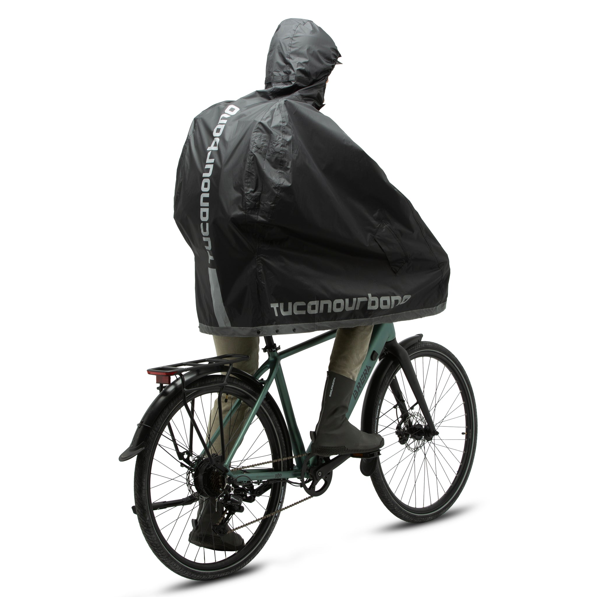 Mantella GARIBALDINA ZETA